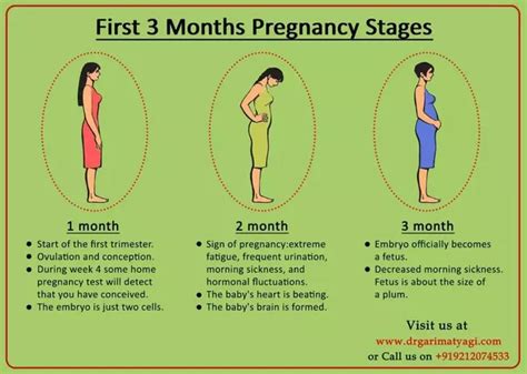 3rd Month Pregnancy, Pregnancy Signs, Pregnancy Test, Pregnancy Workout ...