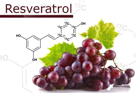 What Level Of Resveratrol Dosage Can Be Considered?