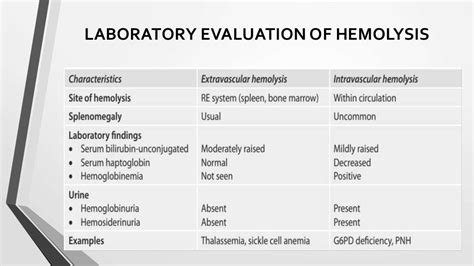 lab work up for hemolytic anemia