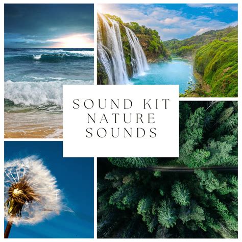 20 X 60 Minute Royalty-free Nature Sound Recordings Meditation Sounds ...