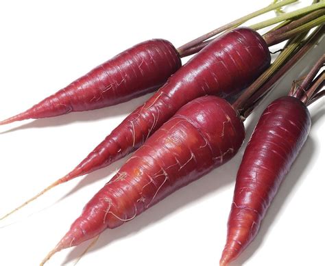 Cosmic Purple Carrot - Daucus carota | Carrot Seeds | Non-GMO Seeds ...