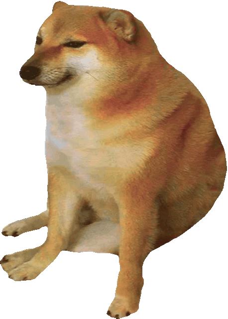 Bonk It Online 💥 | Doge Much Wow