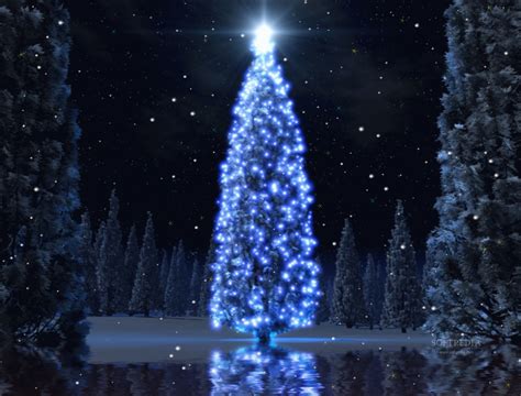 Free download Christmas Tree Animated Wallpaper This wallpaper will display an [1279x973] for ...