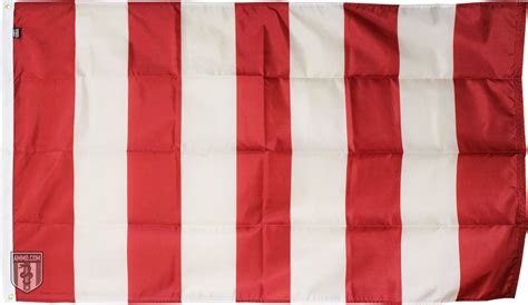 The Sons of Liberty Flag: History of The Rebellious Stripes