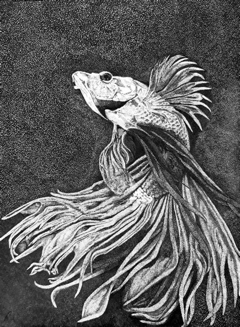 Betta fish Drawing by Nando Poluakan | Saatchi Art