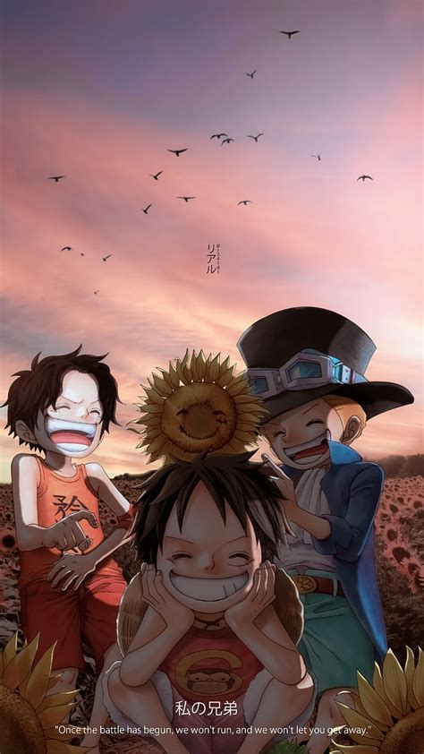 One Piece Luffy And Zoro And Sanji And Ace - vrogue.co