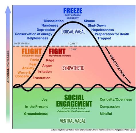 Trauma and Attachment | Mindful and Multicultural Counseling | Ewing ...