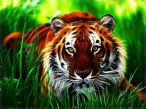 Free Tiger Wallpaper, Desktop Tiger Wallpapers HD