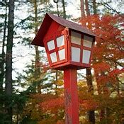 Nature, forest and Japan, red lamp for lighting path to traditional Shinto shrine with trees ...