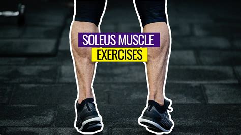 7 Recommended Soleus Muscle Exercises To Unlock Better Circulation