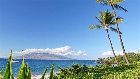 What Are the Best Swimming Beaches in Maui? - Next Vacay