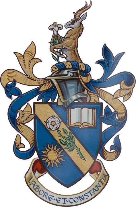 The Davis Family Coat of Arms | Coat of arms, Heraldry design, Heraldry