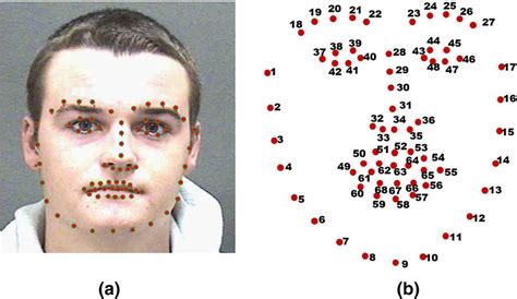 Blink Detection Application Using Computer Vision - Analytics Vidhya