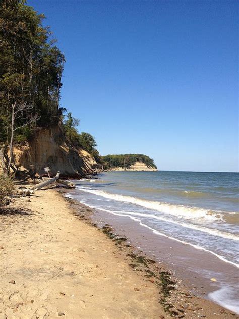 Calvert Cliffs | Maryland boat, Day trips, Trip