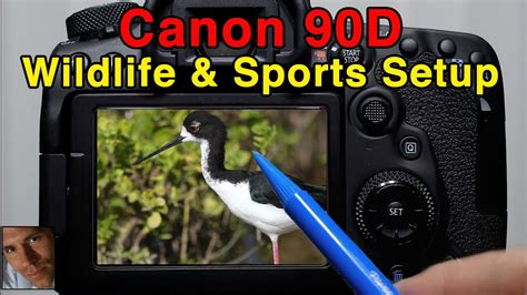 Canon 90D Tutorial | Wildlife & Sports Setup - YouTube