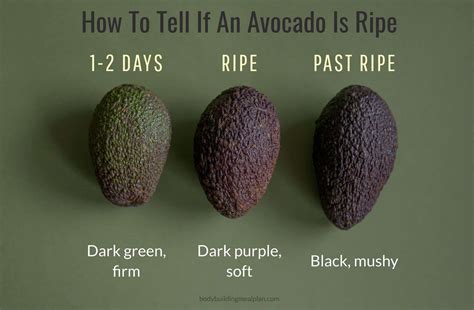 How to Tell If Avocado is Ripe | Lotustryo