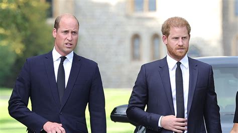 Harry & William Reunited For Dinner Before The Queen's Coffin ...