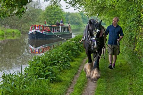 Horse Drawn Canal Boat & Marlborough - Fri 26th June 2020 - Highcliffe ...