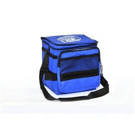 Ice Pack Cooler Bag at Rs 1200/piece | Ghatkopar West | Mumbai | ID: 11505905762