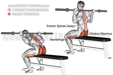 Seated barbell bent-knee good morning exercise instructions and video