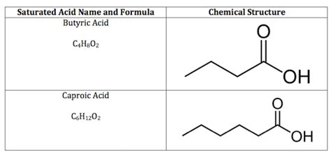 Saturated Fatty Acid: Structure, Formula & Example - Video & Lesson Transcript | Study.com