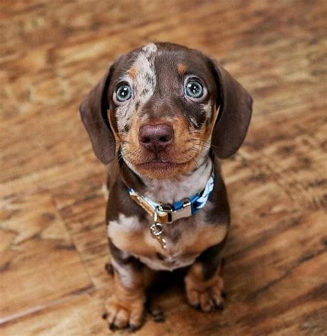 Could stare in these eyes foreverhttps://i.redd.it/nrbu4t8xsee11.jpg ...