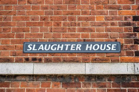 Slaughter house stock image. Image of corpse, industry - 12778707