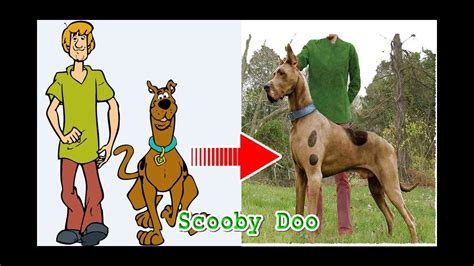 Scooby Doo Characters Names