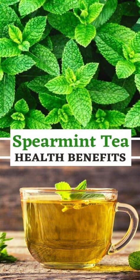 Spearmint Tea Benefits - Digestion, Acne, PCOS, and More