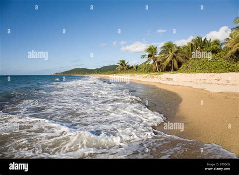 Vieques Puerto Rico Stock Photo - Alamy