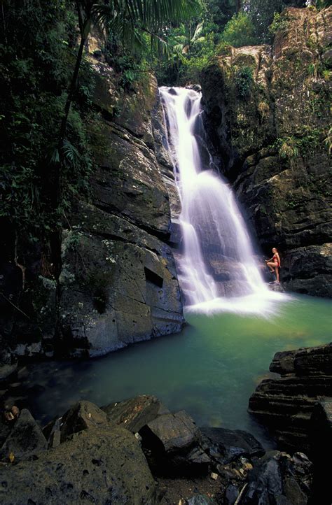 El Yunque En Puerto Rico | Images and Photos finder