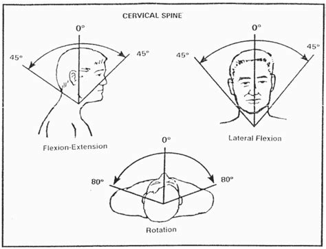 Cervical Spine Range Of Motion Chart