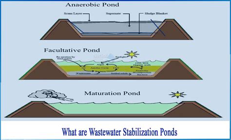 What are wastewater stabilization ponds