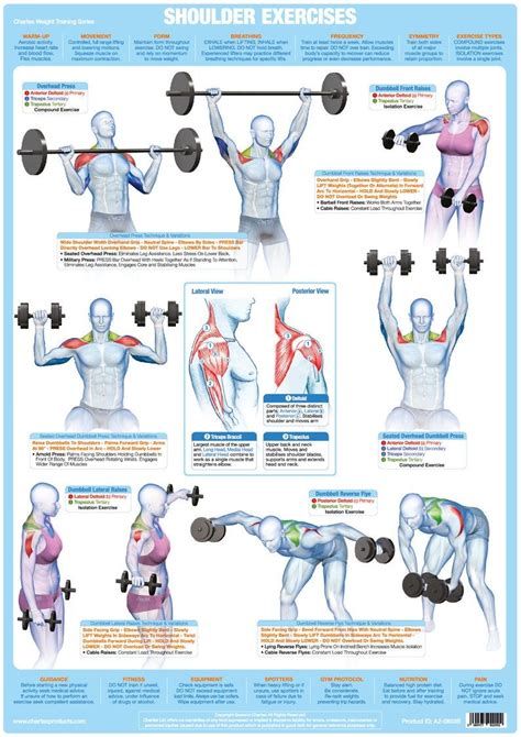 Weight Training Posters Barbell Dumbbell Exercise Charts | Etsy Fitness Workouts, Fitness Apps ...