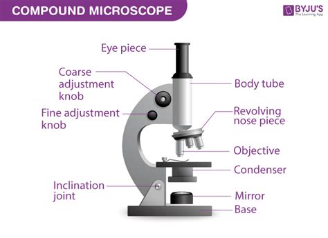 Mention the Function of Each Microscope Part - BYJU'S Biology