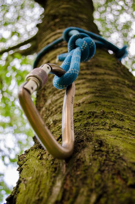 Climbing Carabiner Free Stock Photo - Public Domain Pictures