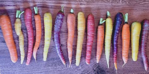 Roasted Rainbow Carrots with Rosemary - HOORAH to Health