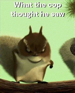 What the cop thought he saw | /r/memes | Florida Acorn Cop Shooting ...