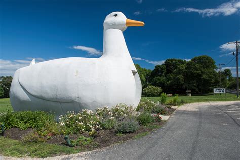 Big Duck, The | Flanders, NY 11901 | New York Path Through History