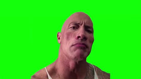 The Rock Meme Green Screen HD | The rock eyebrow, Greenscreen, Rock meme