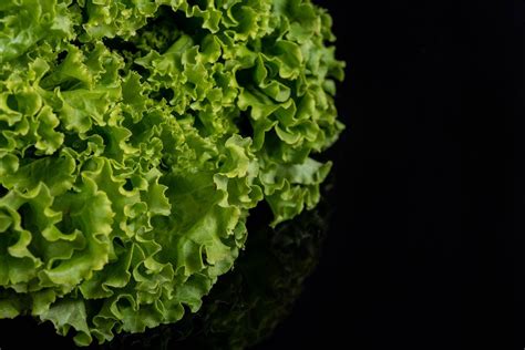 Top view salad with shrimp and slices of line on a black background - Creative Commons Bilder