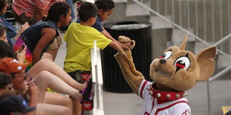 Chico: Mascot, Educator & El Paso's Favorite Ambassador | MiLB.com