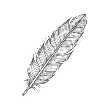 Feather With Birds Drawing