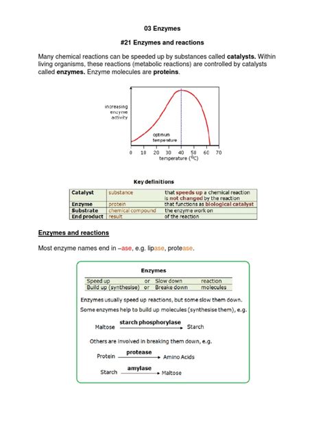 03 Enzymes Biology Notes IGCSE 2014 | Enzyme | Penicillin