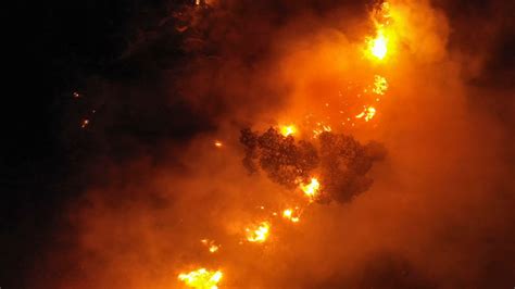 Wildfire in northern Lebanon scorches forest, 1 person dead