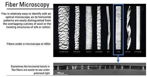 Fiber Microscopy · Flax · Omeka S