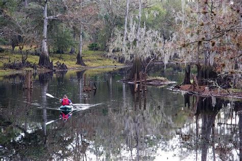 Connect to nature and history at Fisheating Creek Wildlife Management Area