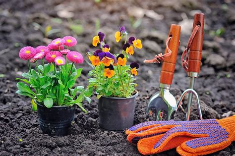 Taking up Gardening to Reduce Anxiety - Zesty Things