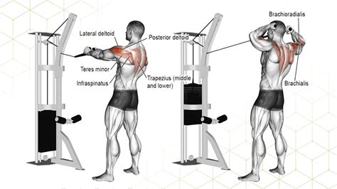 Anterior Deltoid Exercises