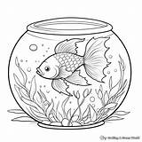 Fish Bowl Coloring Pages  Free & Printable sketch template